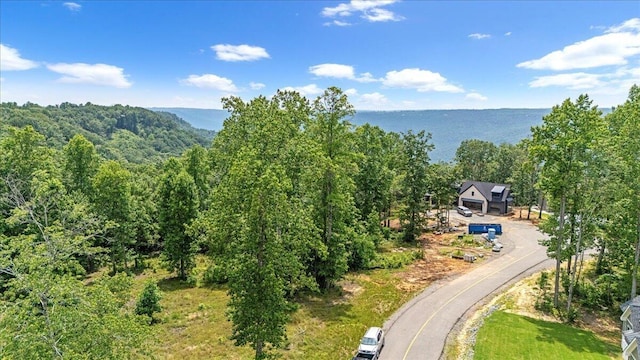 525 Moonlight Ln, Jasper, TN 37347
