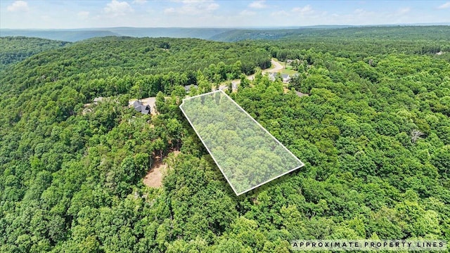 525 Moonlight Ln, Jasper, TN 37347