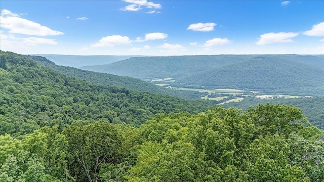 525 Moonlight Ln, Jasper, TN 37347