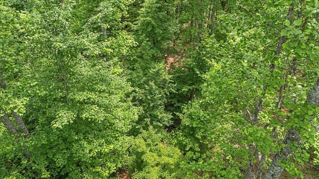 525 Moonlight Ln, Jasper, TN 37347