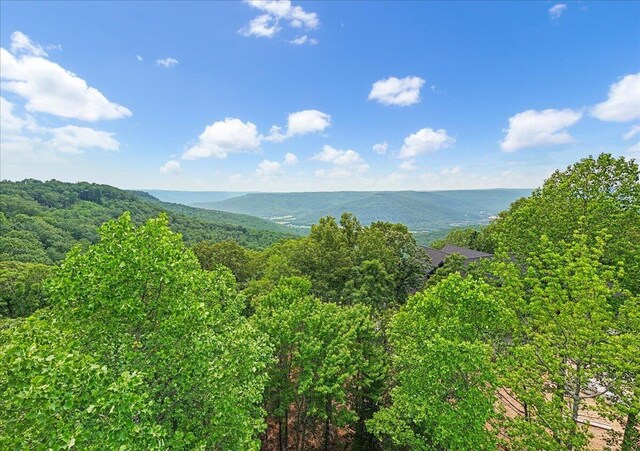 525 Moonlight Ln, Jasper, TN 37347