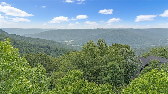 525 Moonlight Ln, Jasper, TN 37347