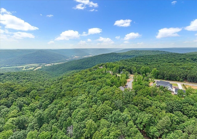 525 Moonlight Ln, Jasper, TN 37347