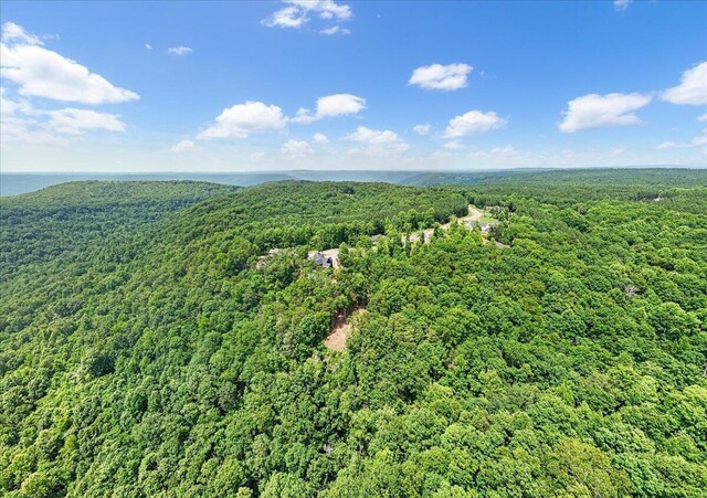 525 Moonlight Ln, Jasper, TN 37347