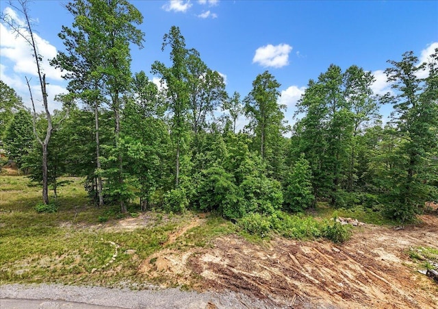 525 Moonlight Ln, Jasper, TN 37347