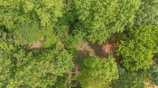 525 Moonlight Ln, Jasper, TN 37347