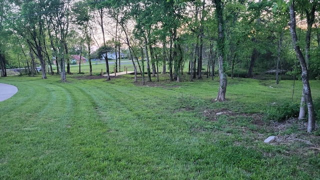 11731 Milton St, Milton, TN 37118 - view of green lawn