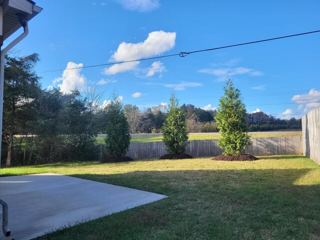 11731 Milton St, Milton, TN 37118 - view of yard featuring a patio area