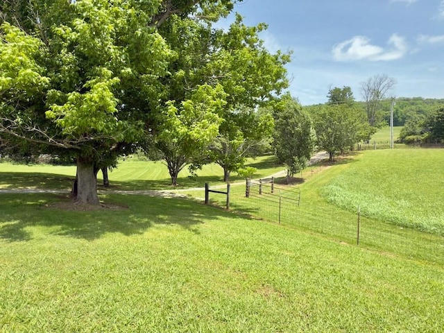 6907 Short Mountain Rd, Woodbury, TN 37190 - view of community
