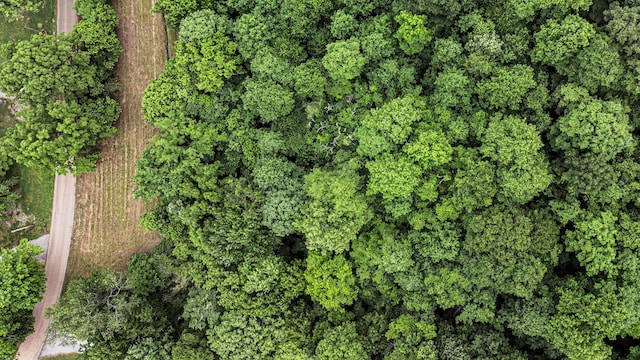 0 Turkey Creek Rd, Dickson, TN 37055