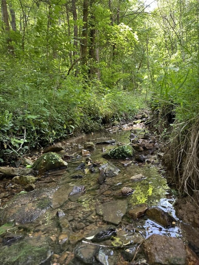 0 Turkey Creek Rd, Dickson, TN 37055