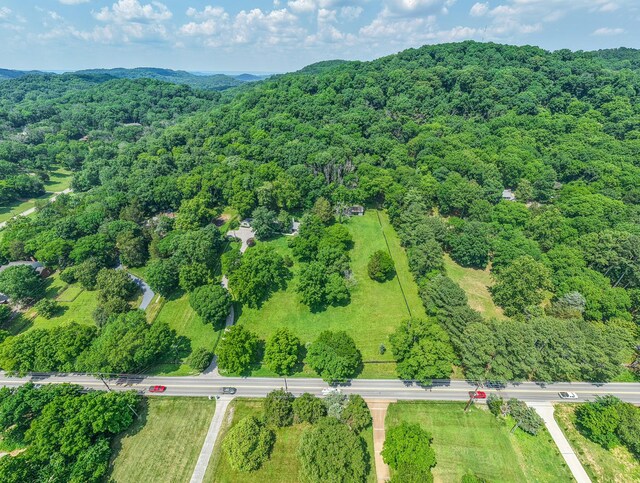 1702 Old Hickory Blvd, Brentwood, TN 37027 - aerial view of a forest