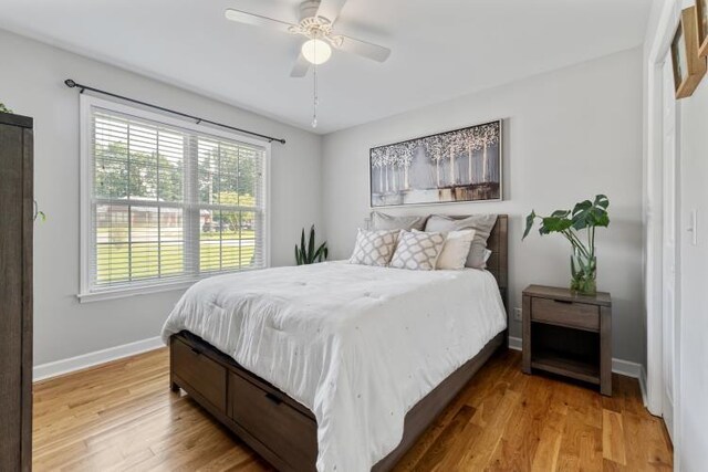 210 Highland Trl, Estill Springs, TN 37330 - bedroom with multiple windows, baseboards, wood finished floors, and a ceiling fan