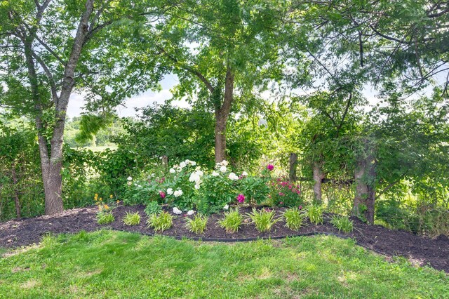 611 Cattail Ln, Franklin, TN 37064 - photo 66