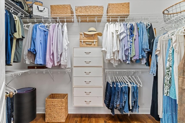 4145 Trinity Rd, Franklin, TN 37067 - spacious closet with wood finished floors