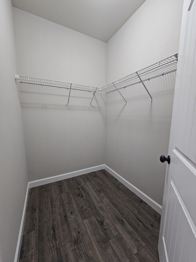 1040 Charlie Daniels Pkwy Unit 111, Mount Juliet, TN 37122 - walk in closet featuring dark wood finished floors