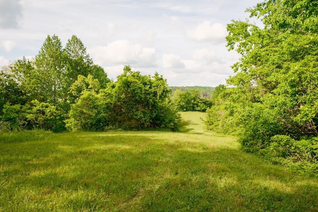 5620 Leipers Creek Rd, Franklin, TN 37064 - view of yard