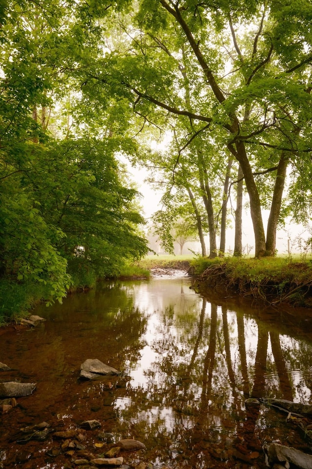 5620 Leipers Creek Rd, Franklin, TN 37064 - water view