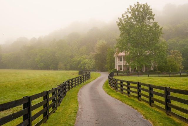 5620 Leipers Creek Rd, Franklin, TN 37064 - view of asphalt driveway featuring a rural view and a wooded view