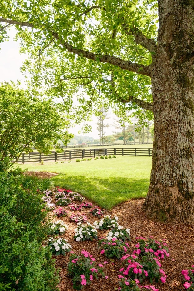 5620 Leipers Creek Rd, Franklin, TN 37064 - view of yard featuring a view of countryside
