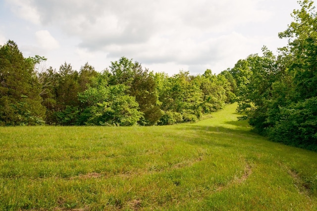 5620 Leipers Creek Rd, Franklin, TN 37064 - view of wooded area