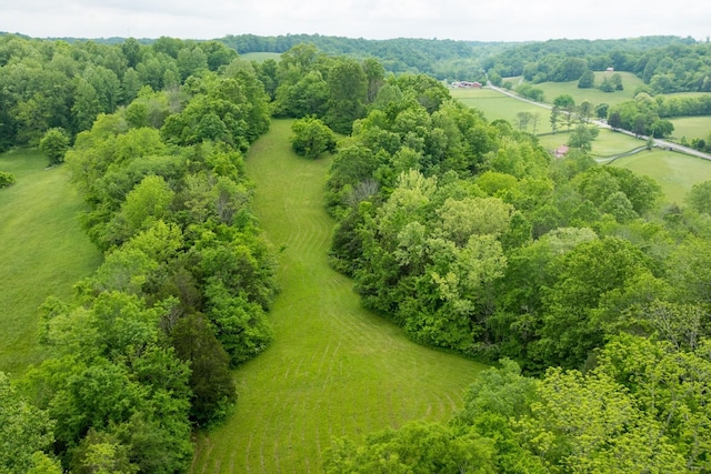 5620 Leipers Creek Rd, Franklin, TN 37064 - aerial view