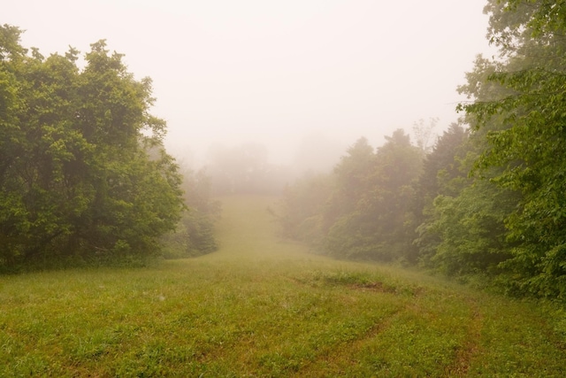 5620 Leipers Creek Rd, Franklin, TN 37064 - view of local wilderness