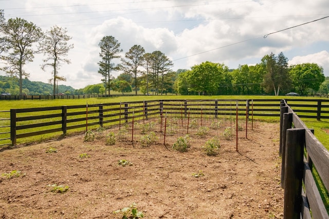5620 Leipers Creek Rd, Franklin, TN 37064 - view of yard with a view of rural / pastoral area and fence