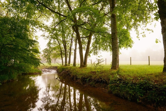 5620 Leipers Creek Rd, Franklin, TN 37064 - water view with fence