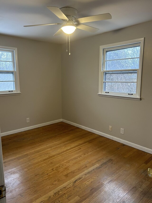6526 Premier Dr, Nashville, TN 37209 - photo 19