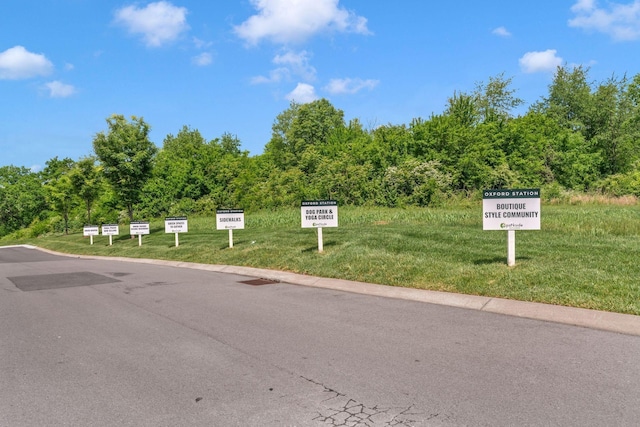 454 Bishop Blvd, Gallatin, TN 37066 - view of asphalt street featuring curbs