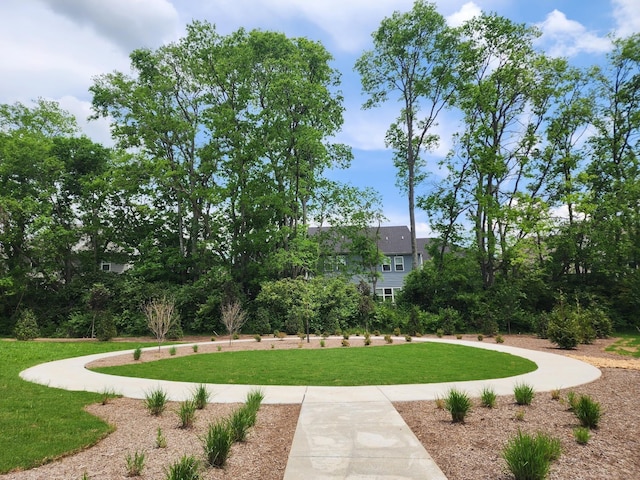 454 Bishop Blvd, Gallatin, TN 37066 - view of community with a yard