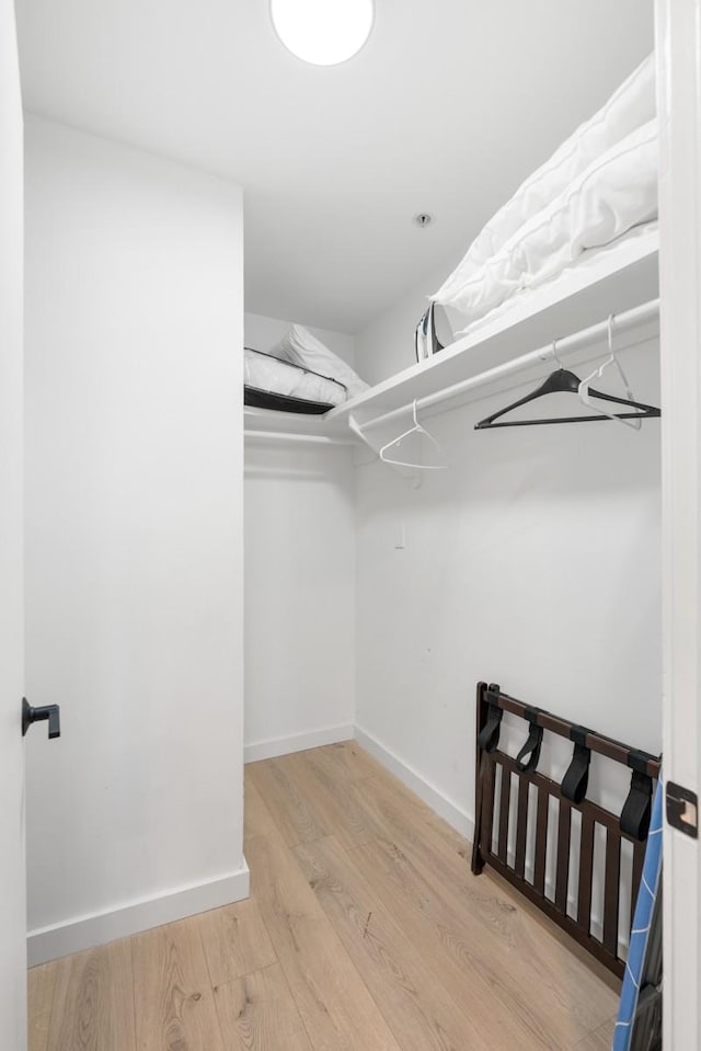 walk in closet featuring wood finished floors