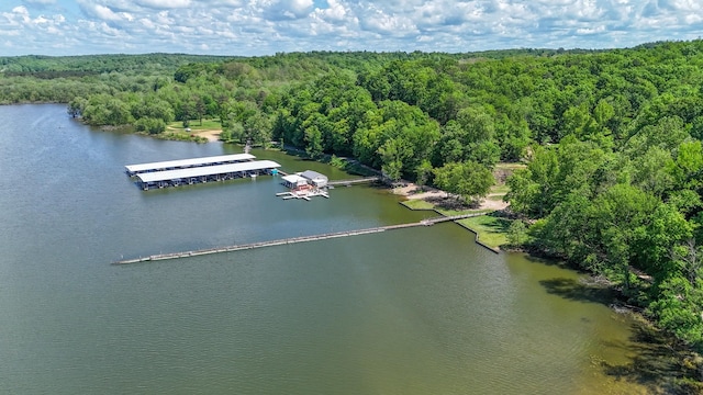 102 Highwater Rd, Waverly, TN 37185 - bird's eye view of a forest and a nearby body of water