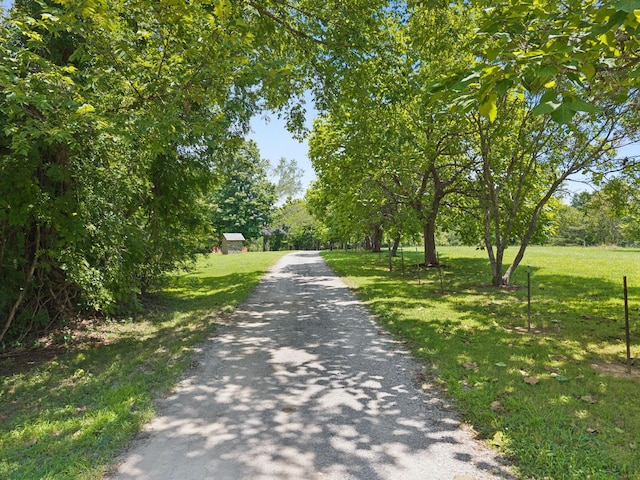 1374 Peter Pond Rd, Ashland City, TN 37015 - photo 84