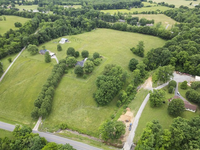 3146 Old Greenbrier Pike, Greenbrier, TN 37073 - photo 3