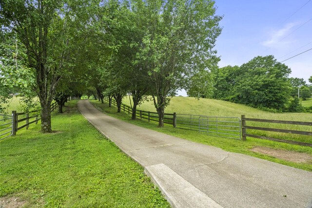 3146 Old Greenbrier Pike, Greenbrier, TN 37073 - photo 7