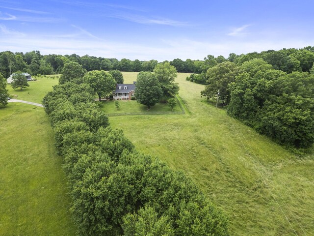 3146 Old Greenbrier Pike, Greenbrier, TN 37073 - photo 5