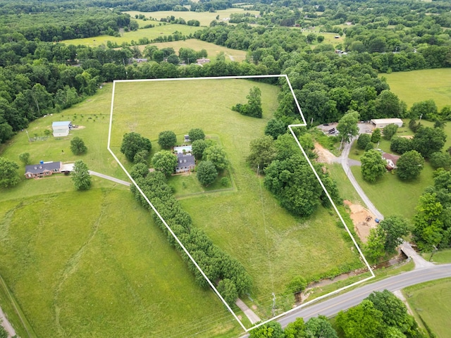 3146 Old Greenbrier Pike, Greenbrier, TN 37073 - photo 2