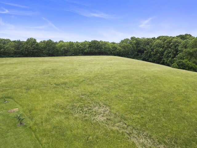 3146 Old Greenbrier Pike, Greenbrier, TN 37073 - photo 60