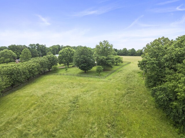 3146 Old Greenbrier Pike, Greenbrier, TN 37073 - photo 6