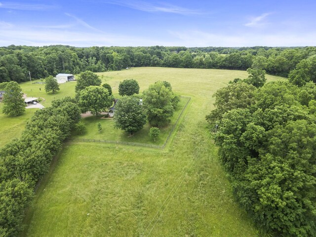 3146 Old Greenbrier Pike, Greenbrier, TN 37073 - photo 4