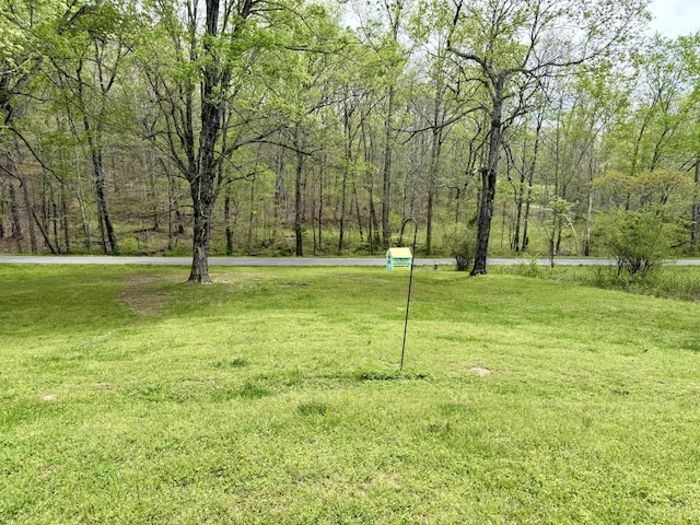540 Grindstone Hollow Rd, Dickson, TN 37055 - view of green lawn