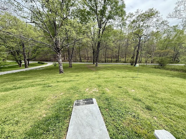 540 Grindstone Hollow Rd, Dickson, TN 37055 - view of green lawn