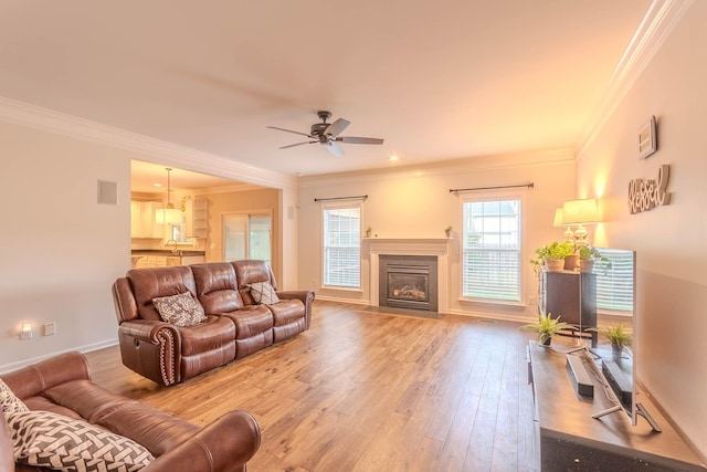 2004 Towhee Ct, Spring Hill, TN 37174 - living room featuring hardwood / wood-style flooring, a ceiling fan, crown molding, baseboards, and a fireplace with flush hearth