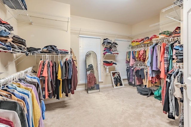 2004 Towhee Ct, Spring Hill, TN 37174 - walk in closet with carpet