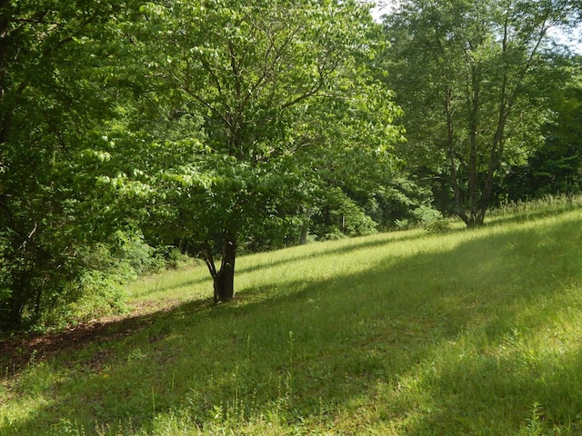 3355 Willie Mauldon Rd, Lutts, TN 38471 - view of woods