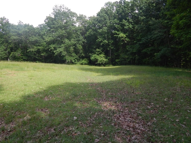 3355 Willie Mauldon Rd, Lutts, TN 38471 - view of yard featuring a forest view