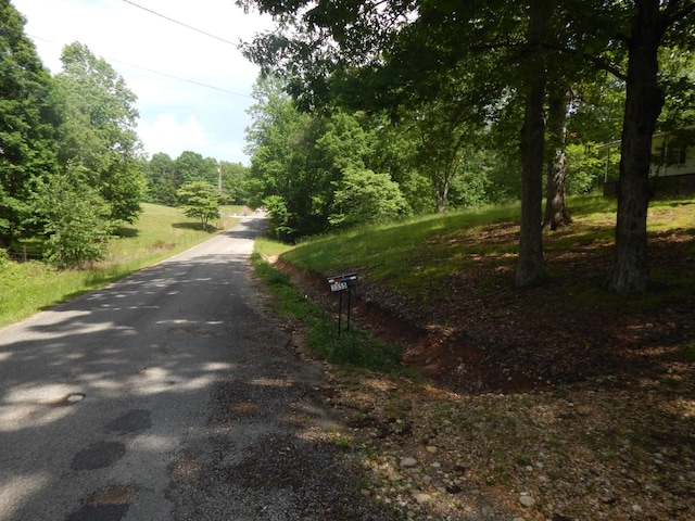 3355 Willie Mauldon Rd, Lutts, TN 38471 - view of asphalt street