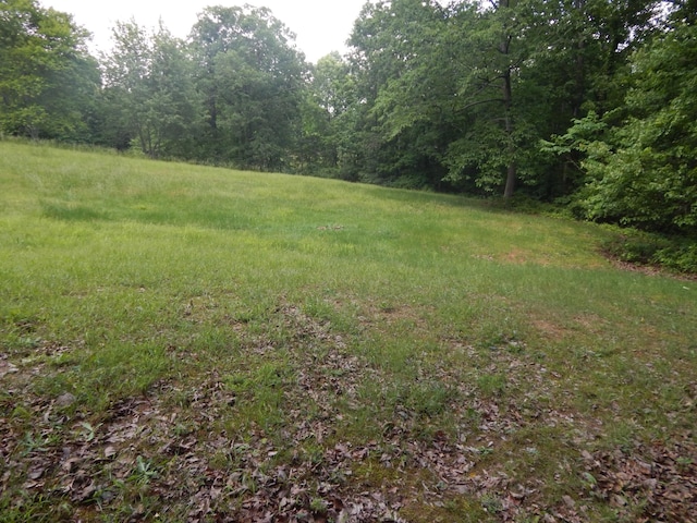 3355 Willie Mauldon Rd, Lutts, TN 38471 - view of yard with a view of trees
